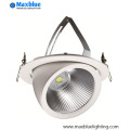 20W 30W 40W 50W Rotatable CREE LED Trunk Down Light